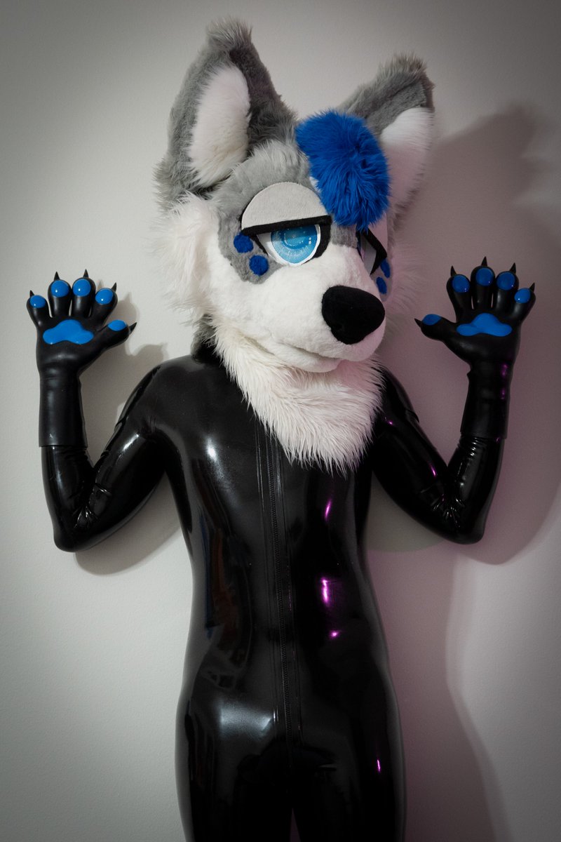If you are going to AC, remember! I will gladly do latex shoots for anyone, and lewd shoots for friends / mutuals! 

Prices stay exactly the same as they are in the quoted post! DM me on my main or any other of my socials if interested! 💙

#LatexFur #furryfandom 
Examples 🔽