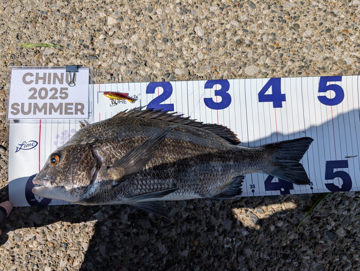 たけちゃん たけちゃん (@takechanfisher1) / Posts / X