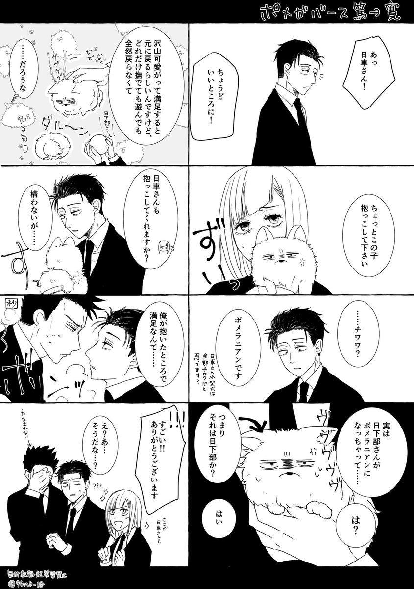 ポメガバ篤寛(🍭→🌻)