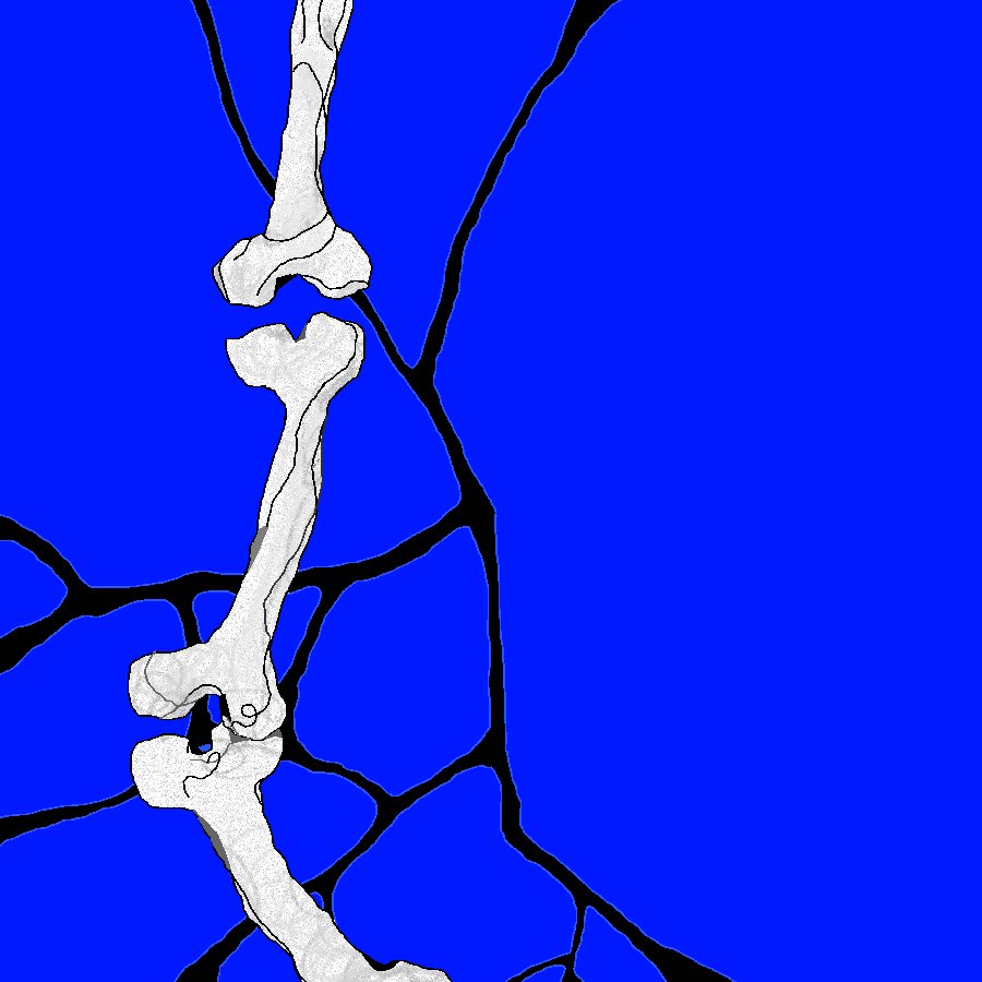 물개미 (@mulgaemii) on Twitter photo 