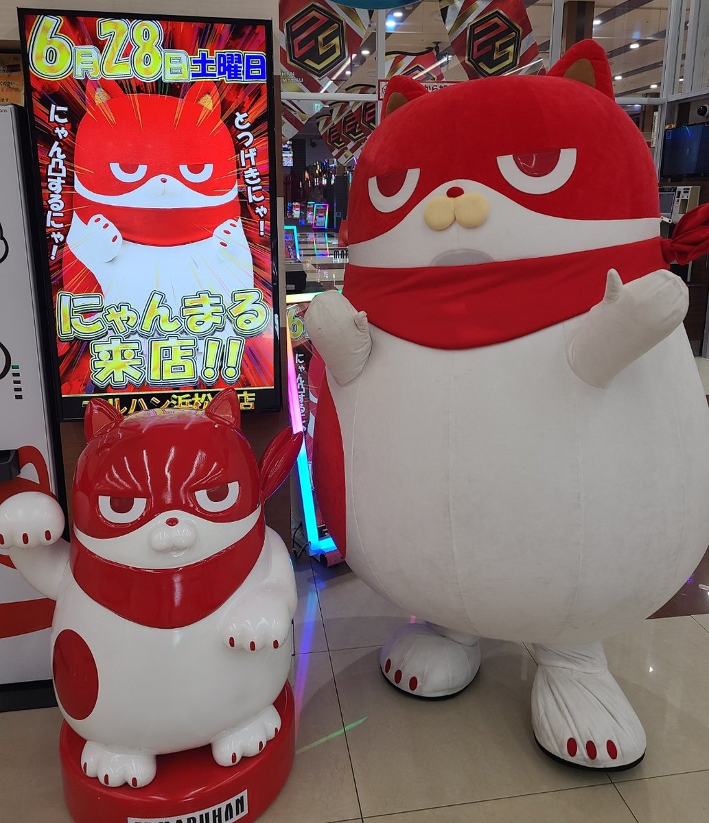 🐱にゃんまるが17日に来店にゃ～ 🔰静岡あかまる来店取材開催～ 浜松泉