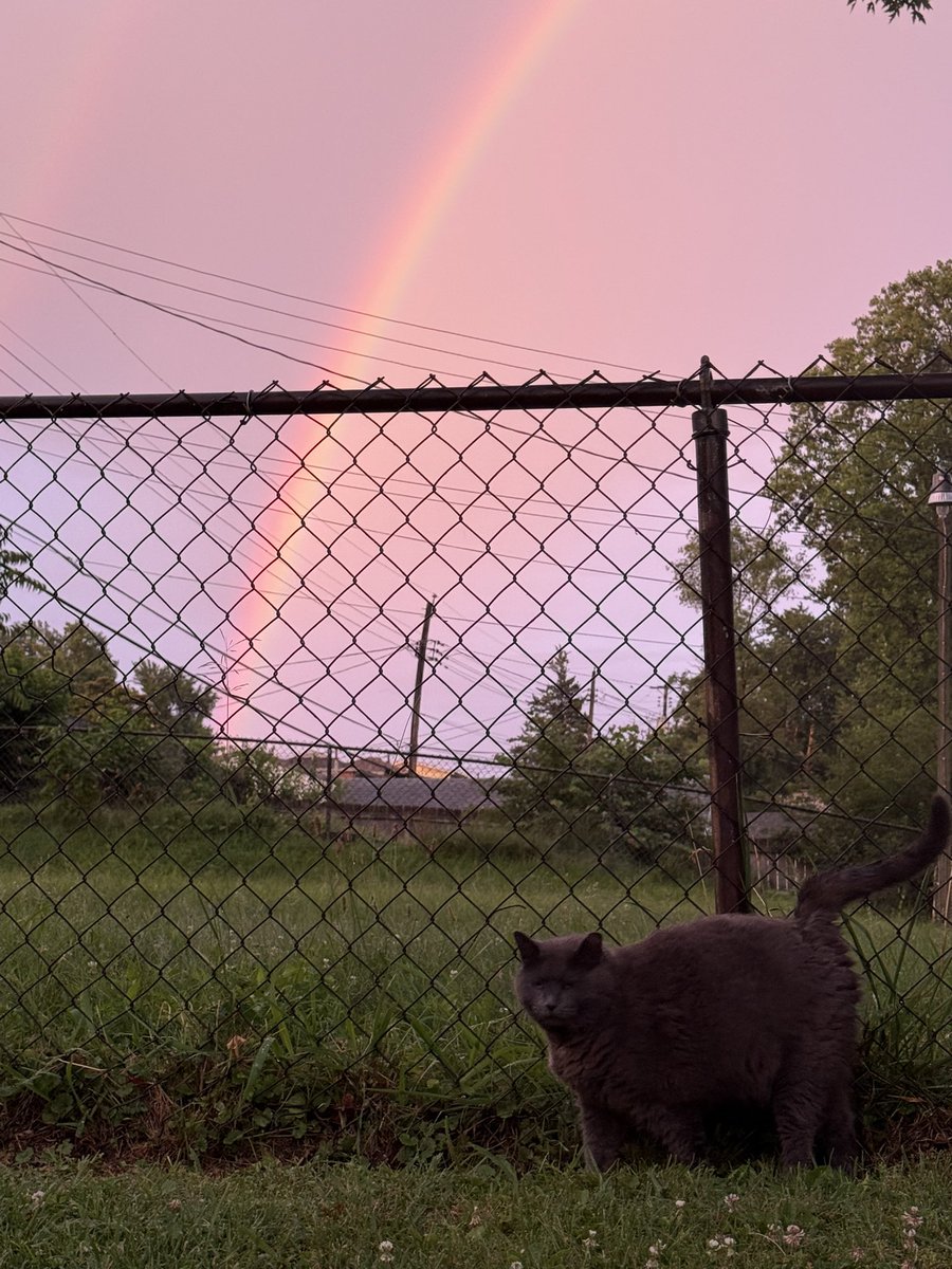 Ashley π (@wisteriaayt) on Twitter photo Beautiful double rainbow after the storms! I got my stray cat to pose with it π₯° <a href="/SteveTempleton/">Steve Templeton</a> <a href="/leahwx4/">Leah Hill β‘οΈ π</a> <a href="/KMOV/">KMOV</a> Beautiful double rainbow after the storms! I got my stray cat to pose with it π₯° <a href="/SteveTempleton/">Steve Templeton</a> <a href="/leahwx4/">Leah Hill β‘οΈ π</a> <a href="/KMOV/">KMOV</a>