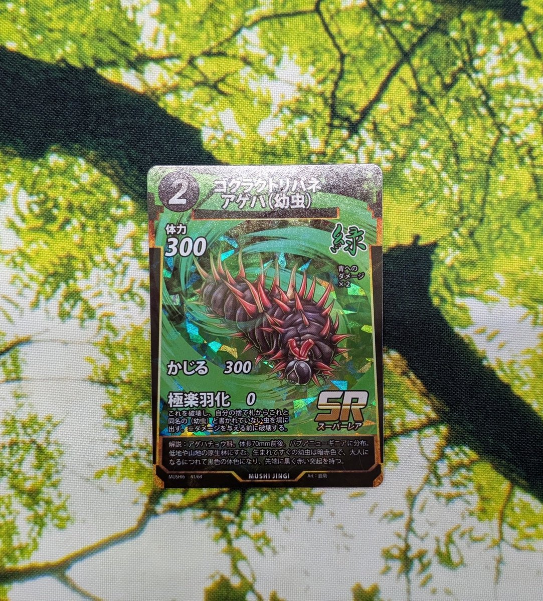 蟲神器　ゴクラクトリバネアゲハ13枚 蟲神器 6弾 LR ゴクラクトリバネアゲハの通販 ハロルド