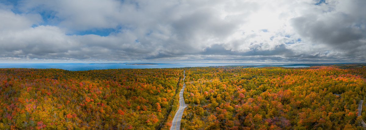 Coming this Fall 🍁