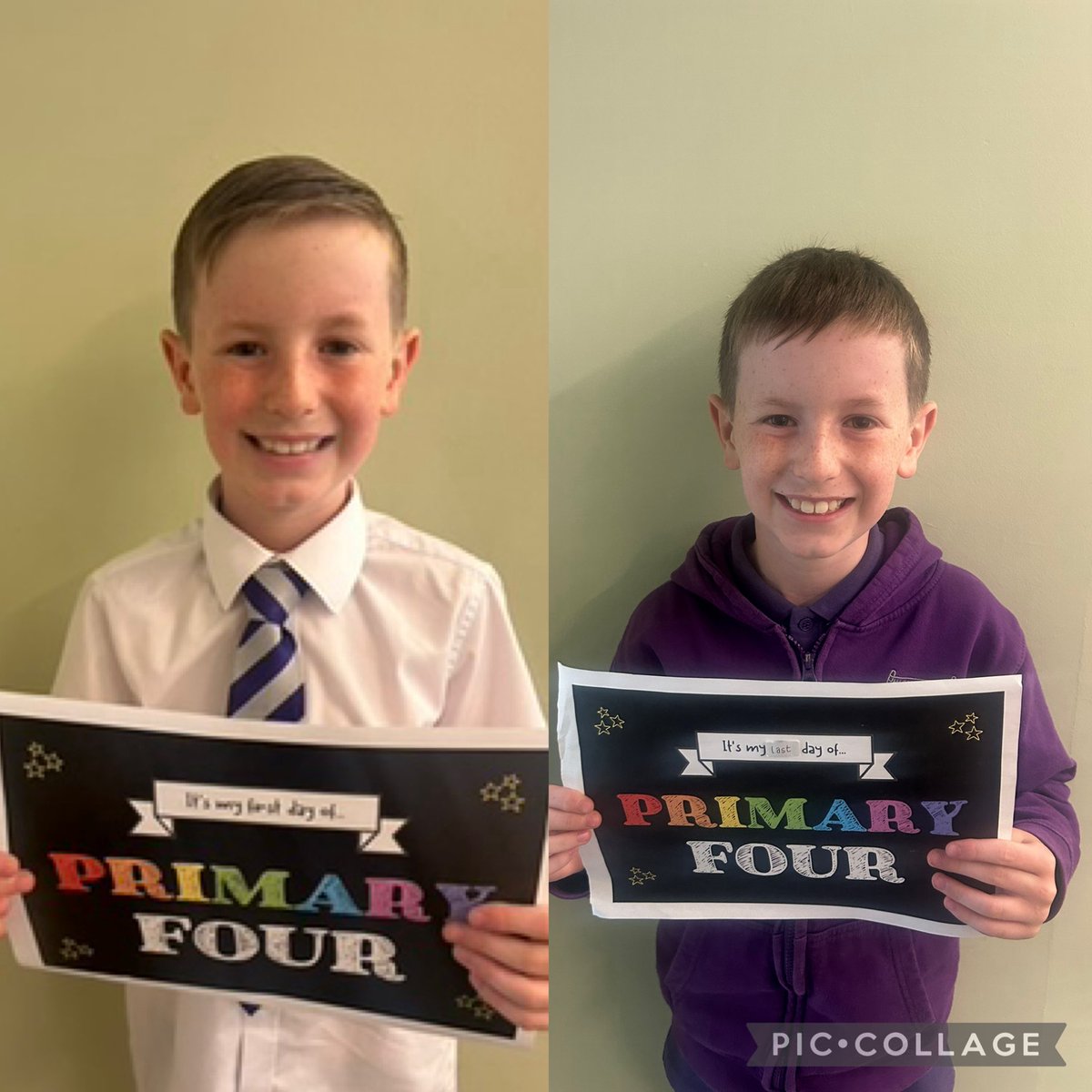Miss Murray P7b tweet media