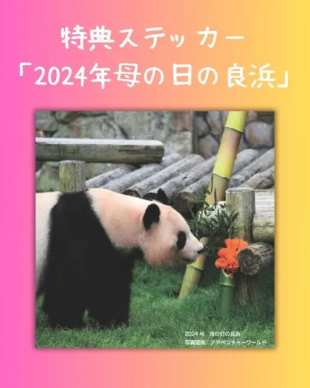 良浜と浜家 ～10頭のパンダを育てた母パンダの偉大なパン生