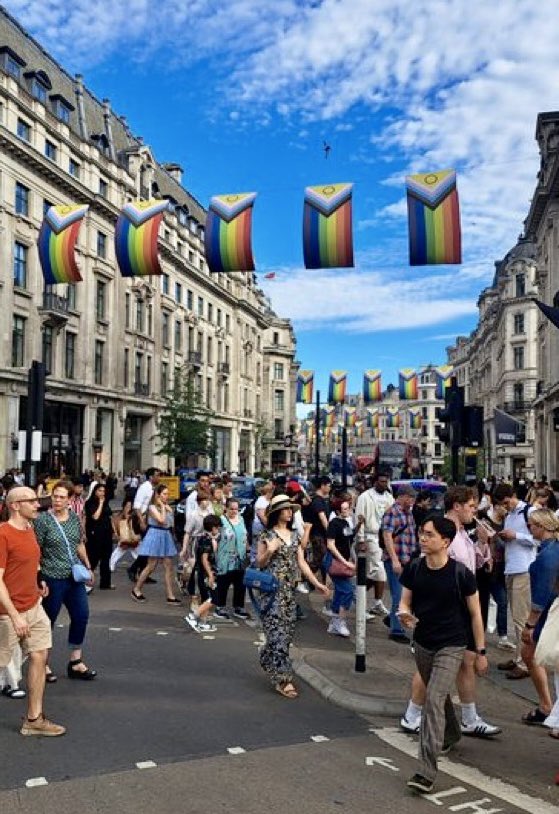 I had hoped that the Supreme Court judgment would bring an end to this madness.

Yet again, rows upon rows of large trans pride flags have appeared above Regent Street.

Taxpayer money is being used to fly flags associated with child mutilation and the erosion of women’s rights.