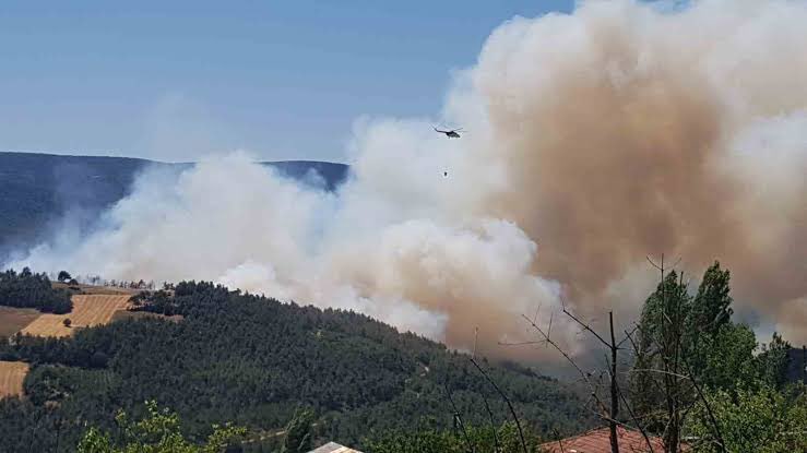 kuzeyormanlari's tweet photo. Sakarya’da yanıyoruz

Kuzey Ormanları’nın Sakarya Taraklı İlçesi Hacıyakup köyü mevkiinde dün öğle vakti çıkan yangın, şiddetli rüzgarın da etkisiyle kısa sürede kontrol dışına çıktı.

Alevler, il sınırını aşarak Bilecik Gölpazarı ilçesine ulaştı. Bazı köyler boşaltıldı.

Sayısız canla birlikte suyumuz nefesimiz yanıyor. Kalbimiz ekiplerimizle atıyor.