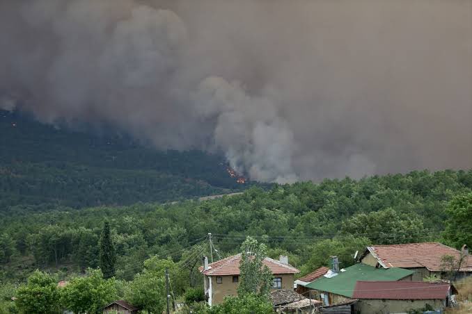 Sakarya’da yanıyoruz

Kuzey Ormanları’nın Sakarya Taraklı İlçesi Hacıyakup köyü mevkiinde dün öğle vakti çıkan yangın, şiddetli rüzgarın da etkisiyle kısa sürede kontrol dışına çıktı.

Alevler, il sınırını aşarak Bilecik Gölpazarı ilçesine ulaştı. Bazı köyler boşaltıldı.

Sayısız