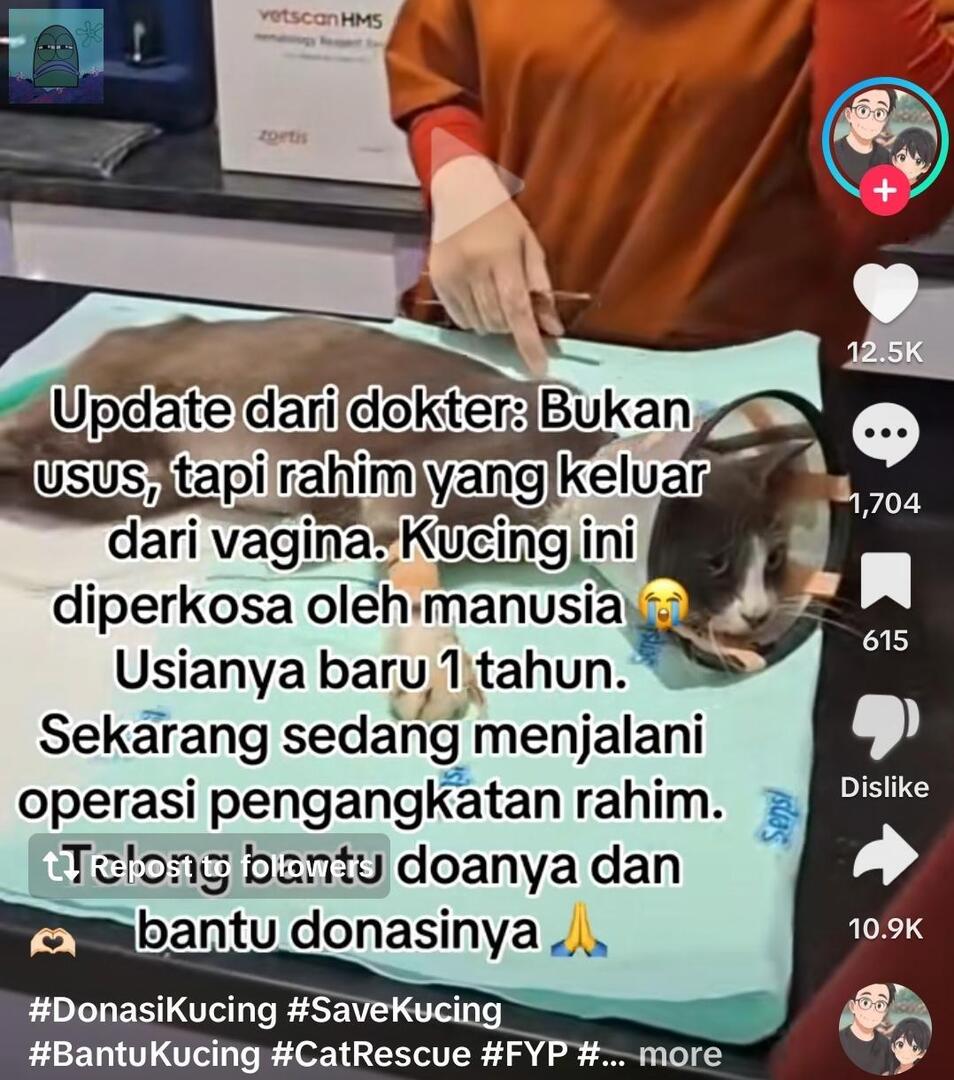 💚 CW // TIKTOK
TW // RAPE, ANIMAL ABUSE

orang² jaman sekarang kelakuannya laknat banget. gak habis pikir liat vid ini 😢 bener² manusia jahat yg ngelakuin ini ke hewan