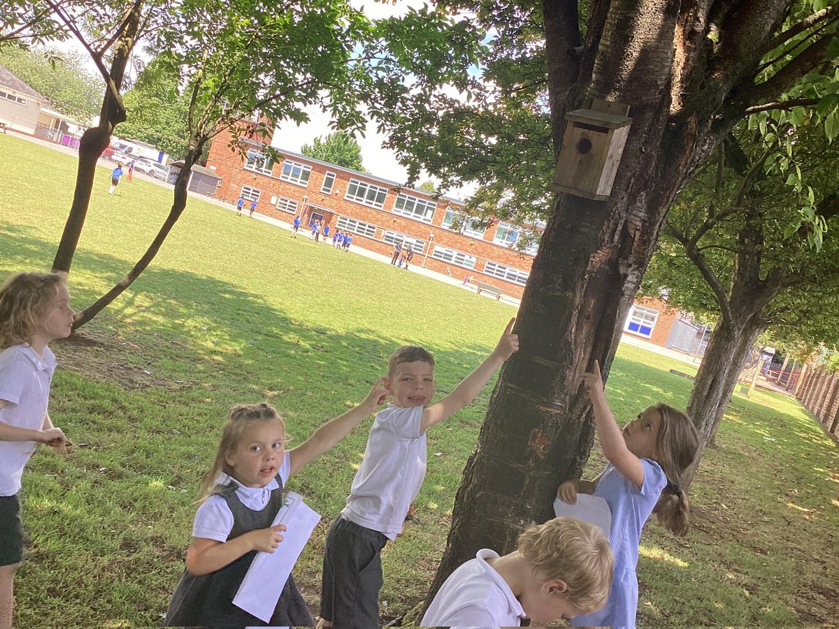 High Cross Primary School tweet media