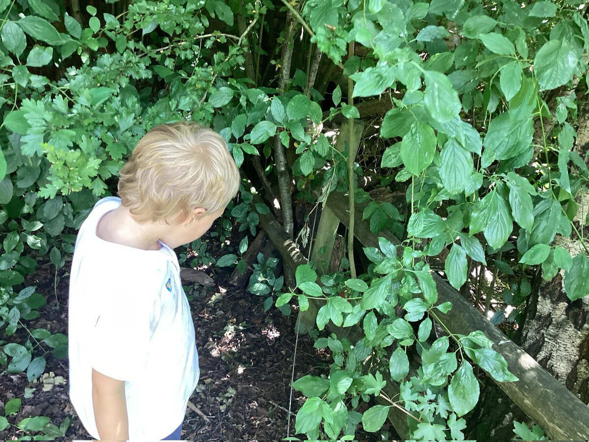 We went on our own Gruffalo trail around the school grounds following our maps. As we met each of the characters and objects along the way, we added our own actions and sounds. 🌳🪵 #HCPSReception