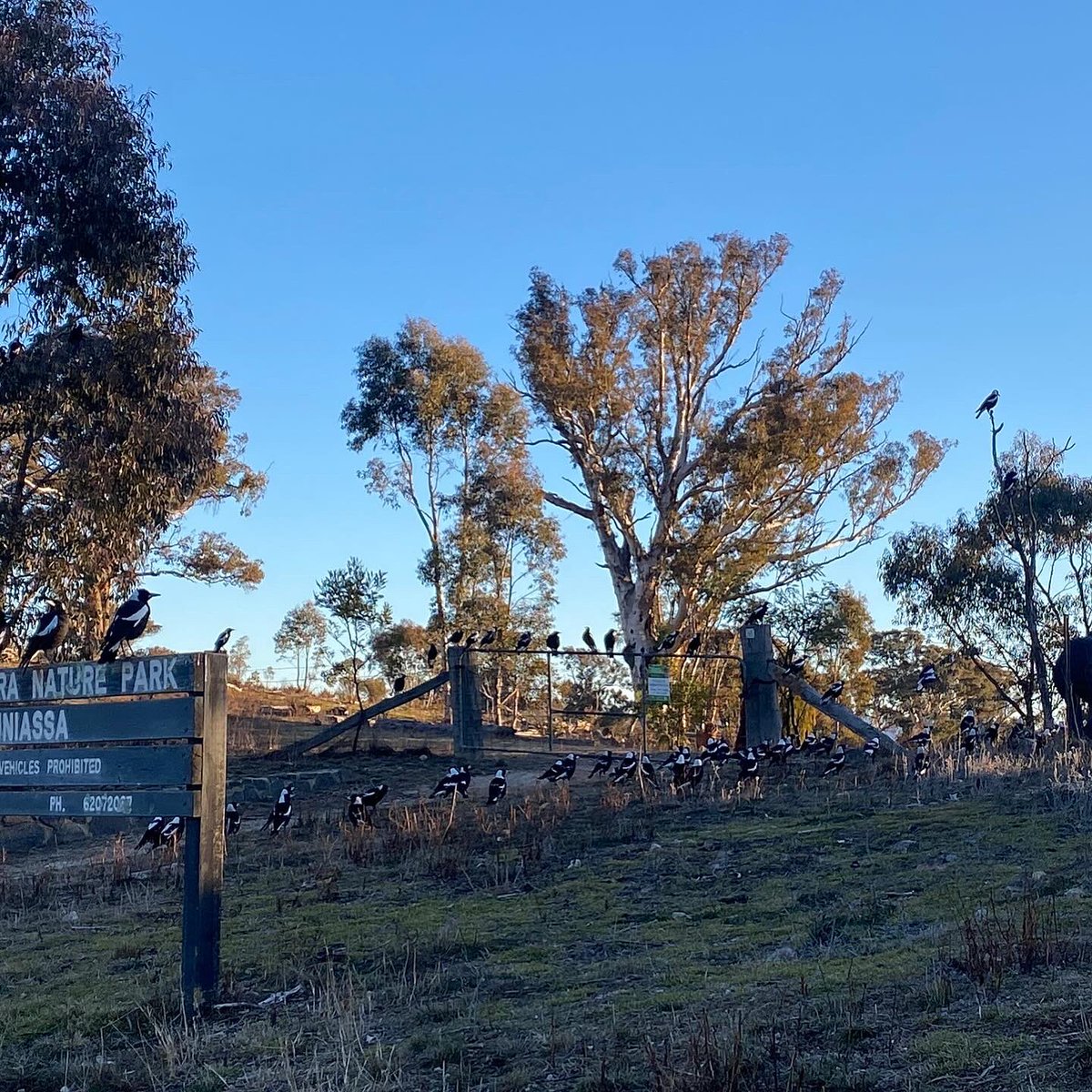 Maiy Azize tweet media