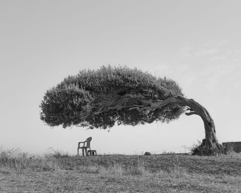 “Dört doğal sığınak vardır: sessizlik, yalnızlık, dinginlik ve sadelik.”