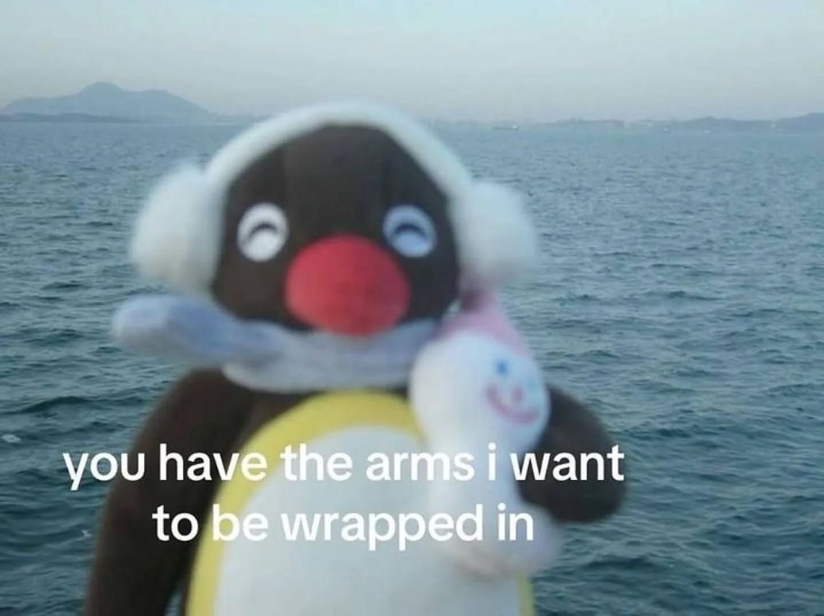 Out Of Context Animals (@animalscontexts) on Twitter photo 