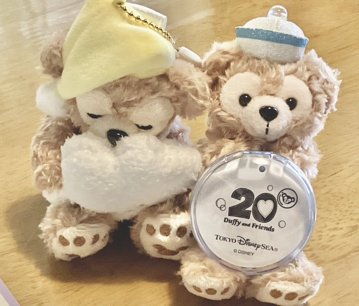 今日のお勉強見守り担当大臣は
ダッフィー&amp;ダッフィー