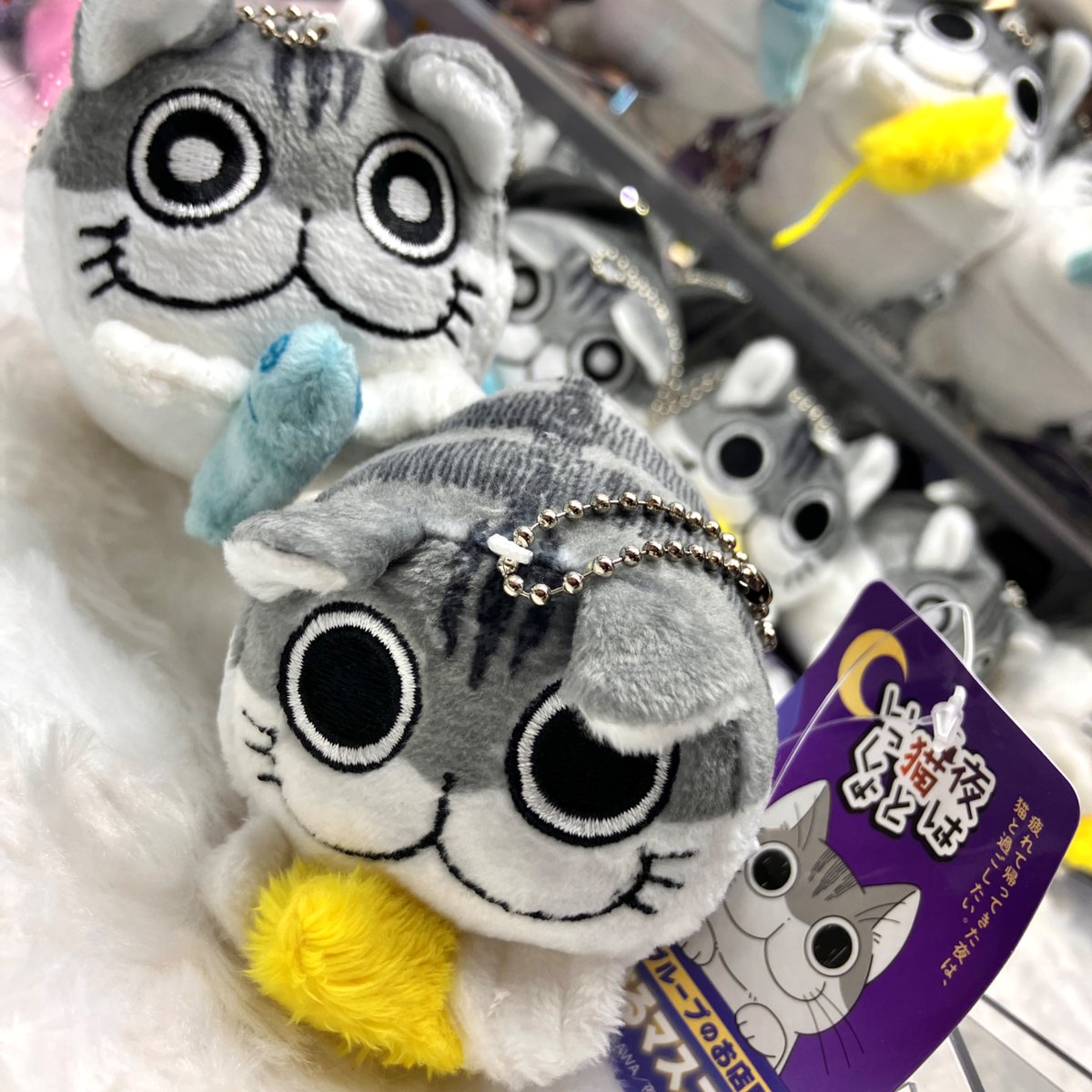 gigo限定 夜は猫といっしょ bigぬいぐるみ GiGOグループのお店