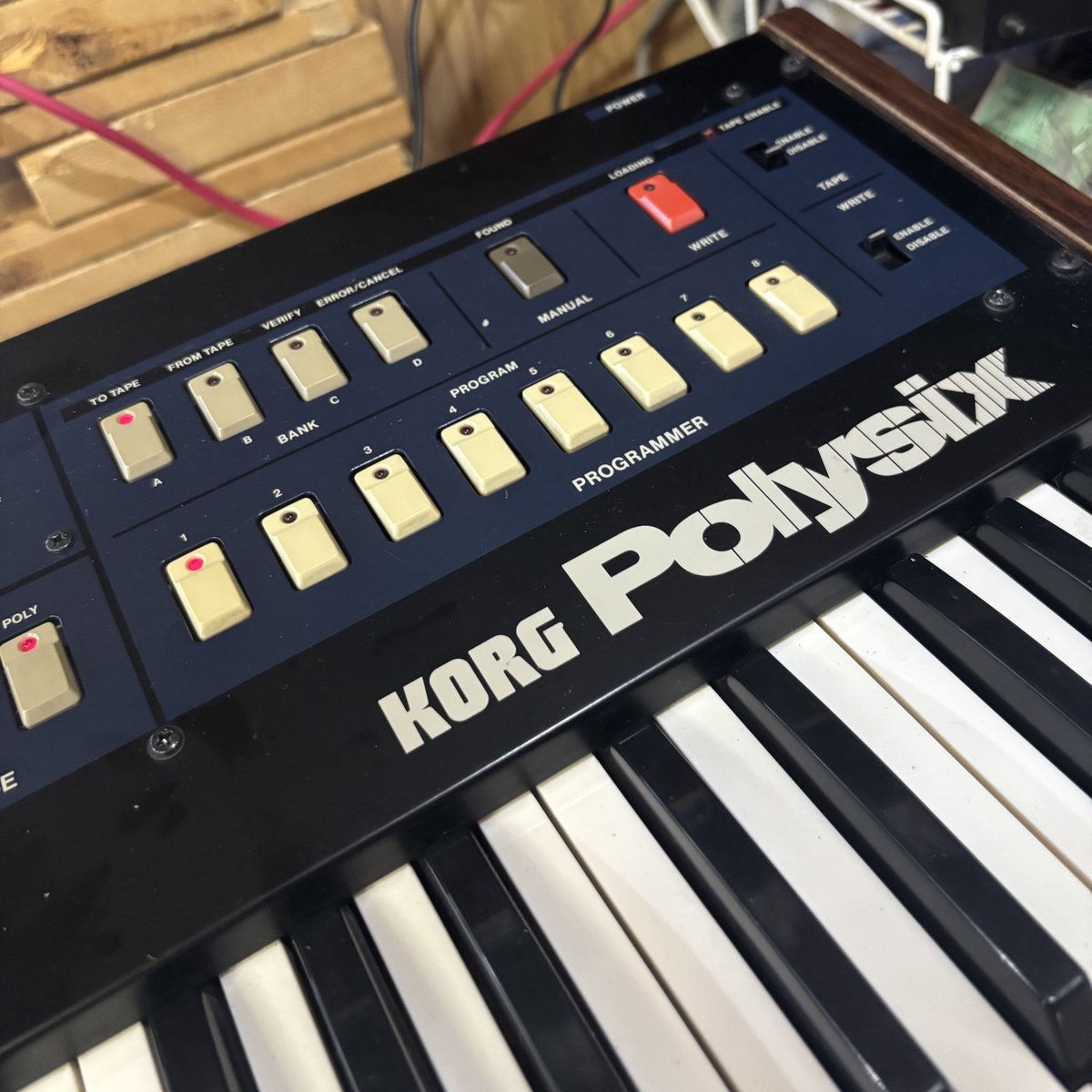 modelessfactory's tweet photo. #polysix
#ps6 https://t.co/lSdGzTSFT6