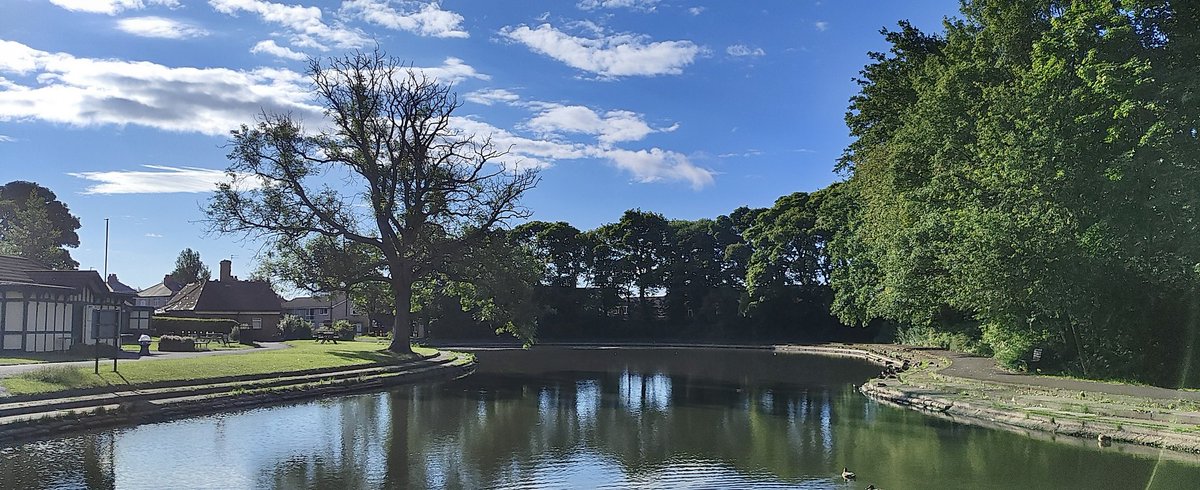 Jesmond Dene parkrun tweet media