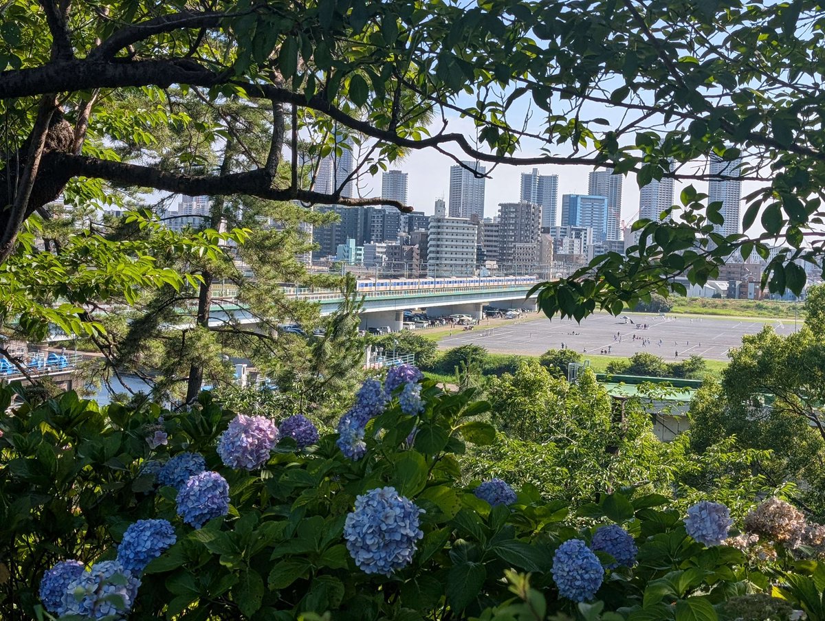 本日、「東急目黒線巡検2025」を実施しました。東急によってつくられたエリアとも言える目黒線沿線の地形を感じながら歩き、地名や都市開発の歴史などについて学びました。
