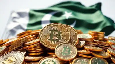 SaleeM 🇵🇰 tweet media