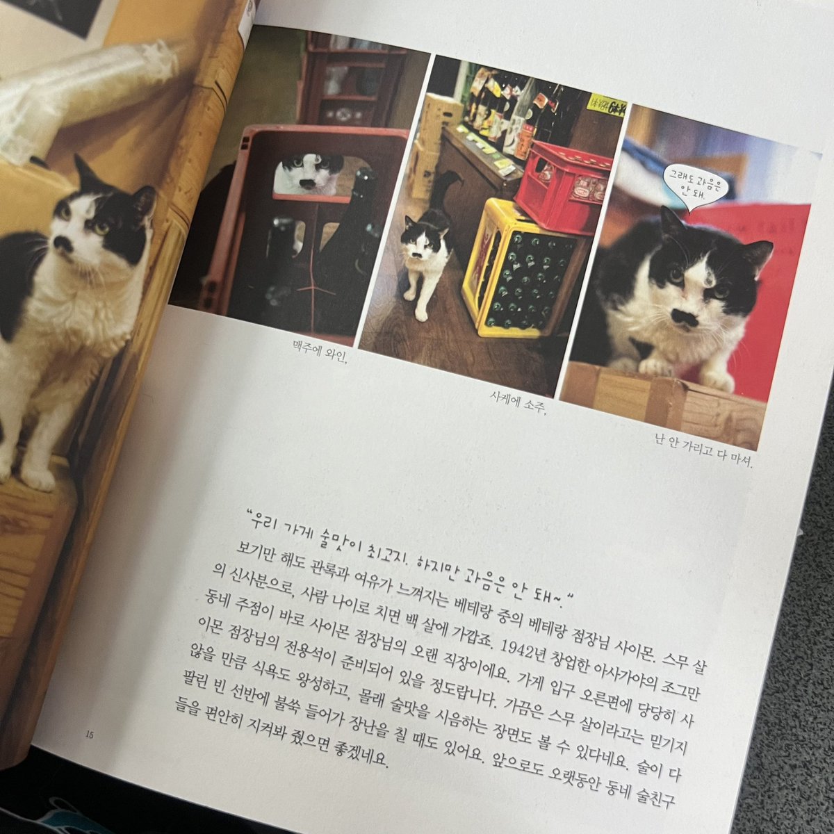 오늘 중고서점갔다가 사냥성공함