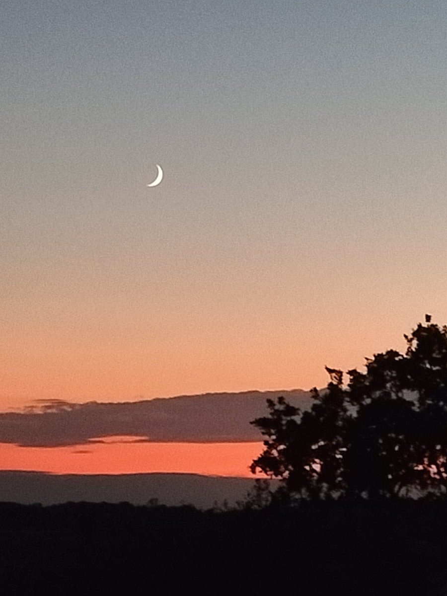 Lucy Robinson 🐦 (@lucyrob67260340) on Twitter photo 