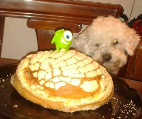Oskarín Payachito 🐾 (@oskarinelperrin) on Twitter photo Feriz pumpleaños miguita <a href="/ethel_wine/">Ethel</a> !! Queyemos patel, patel, patel!! Bavooooooooooo!! Feriz pumpleaños miguita <a href="/ethel_wine/">Ethel</a> !! Queyemos patel, patel, patel!! Bavooooooooooo!!