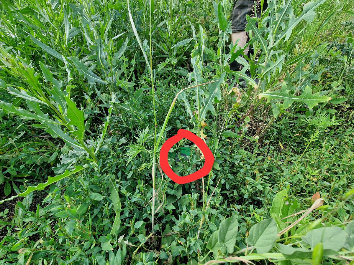 🧠 Right answer: PMN-2.
Thanks to everyone who played—you’re now slightly less likely to step on one.
That’s awareness in action.
#MineAwareness #EOD