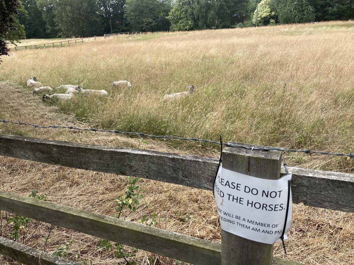 Hopsncheese 🚲🍺🧀🚐 tweet media