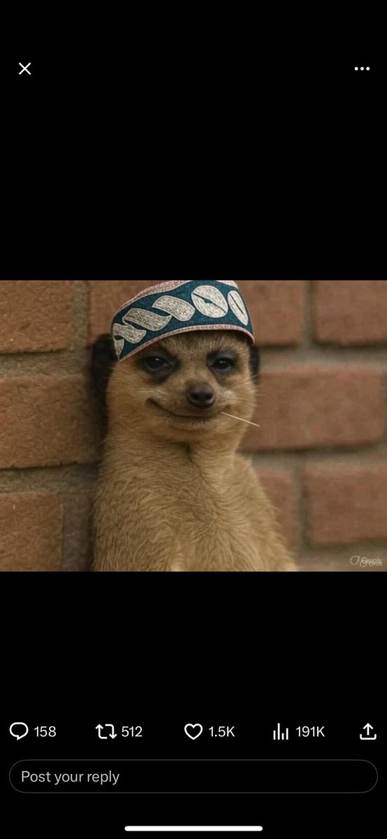 People in storage business right now. Asiwaju opened the borders and disrupted status quo.