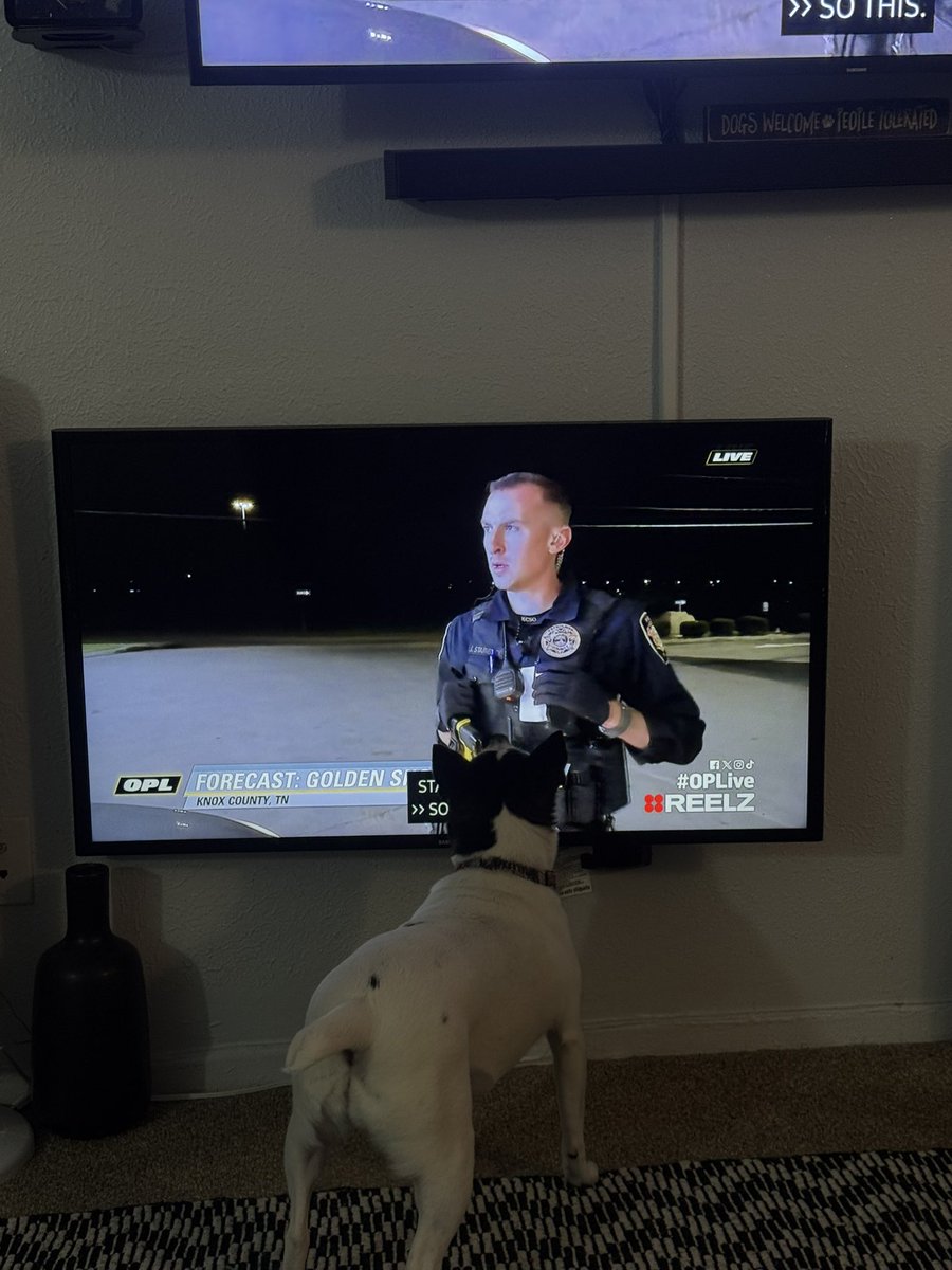 Max and Ruby (@max_n_ruby) on Twitter photo #UrineTrouble 😂 Who me? No You! ~Max
<a href="/CurtisWilson275/">Curtis Winckler Wilson</a> <a href="/danabrams/">Dan Abrams</a> <a href="/ReelzChannel/">REELZ</a> #OPLive #OnPatrolLive #OPNation #OPLiveNation <a href="/OfficialOPLive/">On Patrol: Live</a> #reelz #OPLiveWeekend #UrineTrouble 😂 Who me? No You! ~Max
<a href="/CurtisWilson275/">Curtis Winckler Wilson</a> <a href="/danabrams/">Dan Abrams</a> <a href="/ReelzChannel/">REELZ</a> #OPLive #OnPatrolLive #OPNation #OPLiveNation <a href="/OfficialOPLive/">On Patrol: Live</a> #reelz #OPLiveWeekend