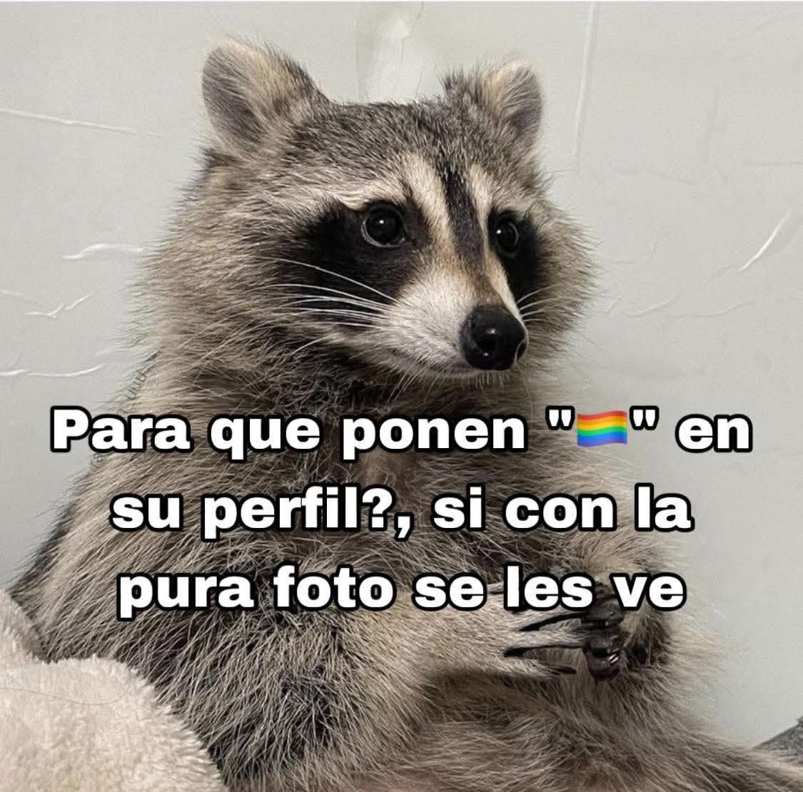 Retroman666's tweet photo. @lasrapiditasmx https://t.co/kdFzSEnrqh