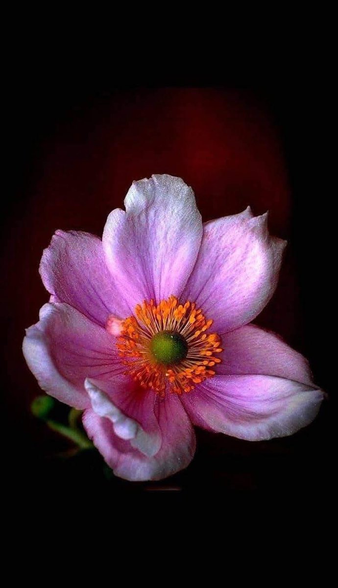 ððððð«ðð ððŠððð£ (@shz447) on Twitter photo #Ù
ÙÚ©_ٟرÙ
ÙØŽÙ
ð¯Follow
<a href="/01Mllik/">ððŒððð ð
ðð«ð</a> <a href="/1fazl2/">Imran khan</a>
<a href="/1arshd/">ðð¿ððµð± ð ð¹ð¶ðžð«ð</a> <a href="/sehr_ik/">Ø³ØØ± Ù
ÙÚ© ðŠðŠ</a>
<a href="/01rshd/">ار؎د Ù
ÙÚ©ð«ð</a> <a href="/1Arshii/">ðð»ðŒð±ð² ððµð²ðŽ âªã</a>
<a href="/1Mahii_/">ðŠÙ
اÛÛ Ù
ÙÚ© ðŠ</a> <a href="/Znt33/">ðŠZêÄñÀT</a>
<a href="/1Sehar_/">ðÒœÔÎ±Ê ð</a>
<a href="/111mn1/">ð¬Ø¢Ù
ÙÛ Ù
ÙÚ©ðŠ</a>
<a href="/0Sehrr/">Ø³ØØ± Ù
ÙÚ© ðïžðŠ</a>
<a href="/glmsjd/">ðºððððð
âš</a>
<a href="/shz787/">ðâïžððsÊáŽÊᎢáŽáŽ
áŽáŽÉŽÉªÊðâïžðâïž</a>
<a href="/1shobii/">Shoaib_Official</a>
<a href="/Snam5_/">ðSanamð</a>
<a href="/zhr879/">Emaan Zahra</a>
<a href="/10bshr/">Bashir Ahmed</a>
<a href="/bndy66/">Asil khawaja 55</a>
<a href="/Hfsa780/">Hafsa</a>
<a href="/Hurain_5/">Hurain ðØÙرÛÙ</a>
<a href="/Haris_943/">Haris PTI áµá¶ ᎞áµ</a>
<a href="/1fzalI/">ðPTI ACCOUNTS PROMORTERð</a> <a href="/11iasd/">Ali Asad</a>
<a href="/guljnt/">Ú¯ÙÙ Ø¬ÙØªð·</a> <a href="/NM1k_/">àŒº ðððµð¬ð¬ðµðšð¯ðð àŒ»</a>
<a href="/Fat9T/">Arshiað¥ð</a> <a href="/_aina1/">AnuMðŠ©</a>
<a href="/Pir_80/">Peer Shb</a> <a href="/Ghz35/">ð¬ ð ðŠ ð¿ ðŠ ð± ðŠ ð</a>
<a href="/Znt31/">ðŠZeenatðŠ</a> <a href="/NK_pti/">ððð¶ð¹ ðµð°</a> #Ù
ÙÚ©_ٟرÙ
ÙØŽÙ
ð¯Follow
<a href="/01Mllik/">ððŒððð ð
ðð«ð</a> <a href="/1fazl2/">Imran khan</a>
<a href="/1arshd/">ðð¿ððµð± ð ð¹ð¶ðžð«ð</a> <a href="/sehr_ik/">Ø³ØØ± Ù
ÙÚ© ðŠðŠ</a>
<a href="/01rshd/">ار؎د Ù
ÙÚ©ð«ð</a> <a href="/1Arshii/">ðð»ðŒð±ð² ððµð²ðŽ âªã</a>
<a href="/1Mahii_/">ðŠÙ
اÛÛ Ù
ÙÚ© ðŠ</a> <a href="/Znt33/">ðŠZêÄñÀT</a>
<a href="/1Sehar_/">ðÒœÔÎ±Ê ð</a>
<a href="/111mn1/">ð¬Ø¢Ù
ÙÛ Ù
ÙÚ©ðŠ</a>
<a href="/0Sehrr/">Ø³ØØ± Ù
ÙÚ© ðïžðŠ</a>
<a href="/glmsjd/">ðºððððð
âš</a>
<a href="/shz787/">ðâïžððsÊáŽÊᎢáŽáŽ
áŽáŽÉŽÉªÊðâïžðâïž</a>
<a href="/1shobii/">Shoaib_Official</a>
<a href="/Snam5_/">ðSanamð</a>
<a href="/zhr879/">Emaan Zahra</a>
<a href="/10bshr/">Bashir Ahmed</a>
<a href="/bndy66/">Asil khawaja 55</a>
<a href="/Hfsa780/">Hafsa</a>
<a href="/Hurain_5/">Hurain ðØÙرÛÙ</a>
<a href="/Haris_943/">Haris PTI áµá¶ ᎞áµ</a>
<a href="/1fzalI/">ðPTI ACCOUNTS PROMORTERð</a> <a href="/11iasd/">Ali Asad</a>
<a href="/guljnt/">Ú¯ÙÙ Ø¬ÙØªð·</a> <a href="/NM1k_/">àŒº ðððµð¬ð¬ðµðšð¯ðð àŒ»</a>
<a href="/Fat9T/">Arshiað¥ð</a> <a href="/_aina1/">AnuMðŠ©</a>
<a href="/Pir_80/">Peer Shb</a> <a href="/Ghz35/">ð¬ ð ðŠ ð¿ ðŠ ð± ðŠ ð</a>
<a href="/Znt31/">ðŠZeenatðŠ</a> <a href="/NK_pti/">ððð¶ð¹ ðµð°</a>