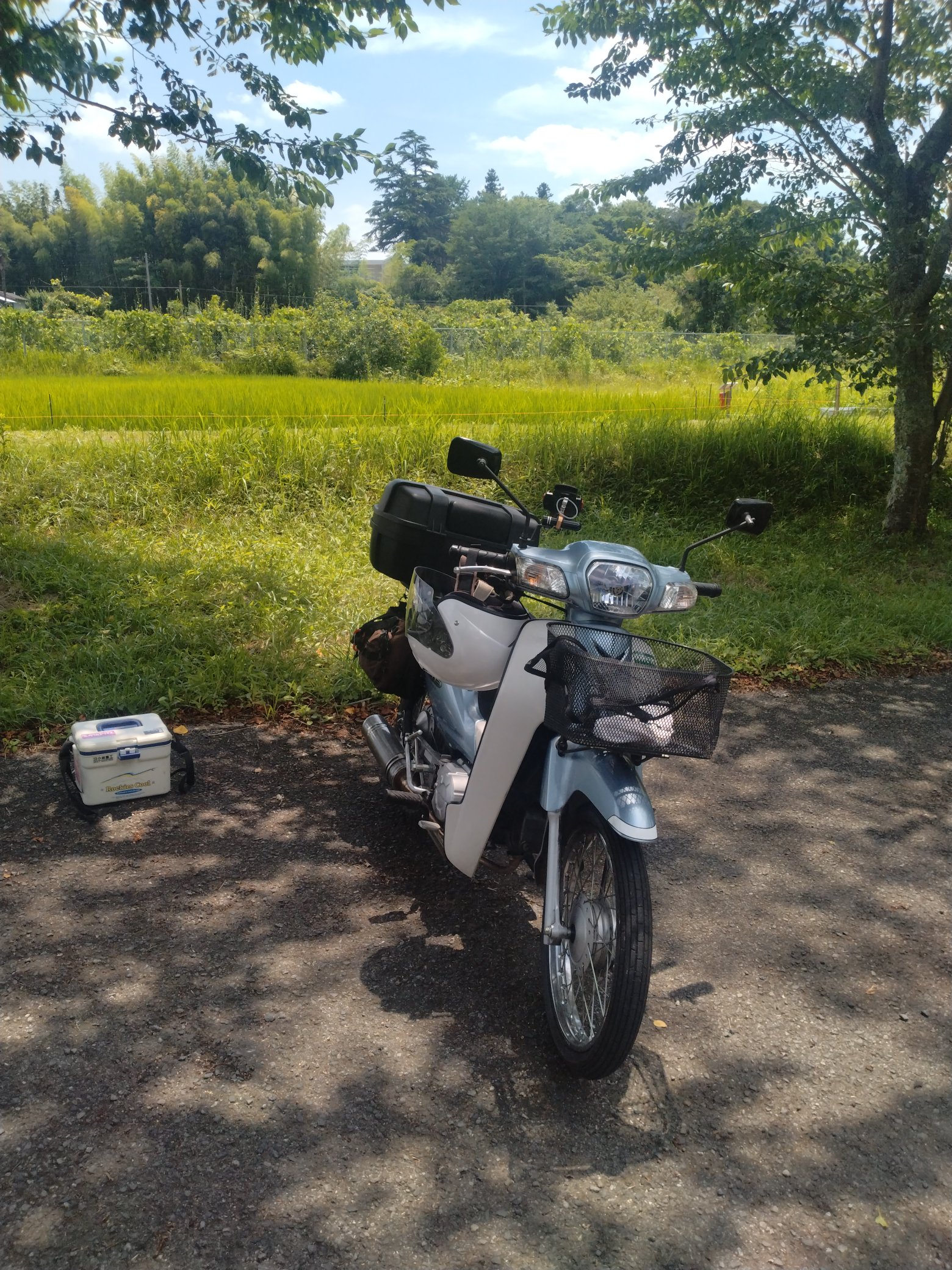 ファミリーフィッシング Lifetime 4 Foot Nesting Rectangle Table, Indoor/Outdoor