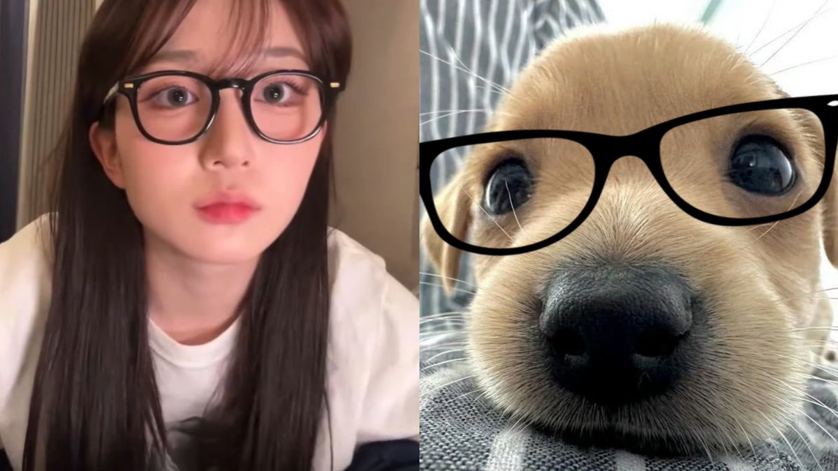 两者区别在？
#吴海媛 #HAEWON #해원