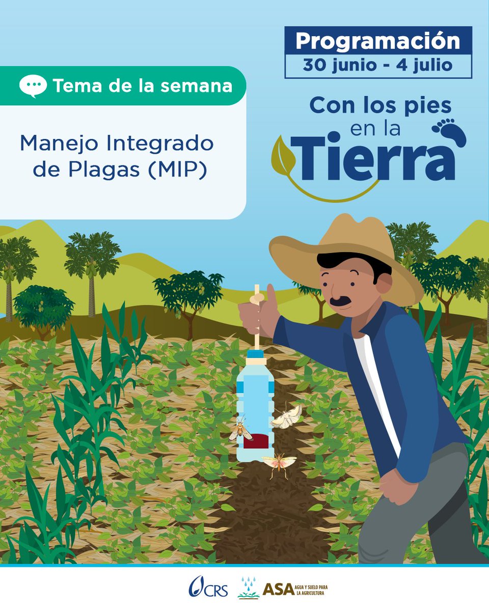 AguaVerdeASA's tweet image. ¡Plagas bajo control sin dañar la tierra! 🌿
Descubre el Manejo Integrado de Plagas (MIP) esta semana en Con los pies en la tierra 👣
🎙 Escúchanos y comparte. #ConLosPiesEnLaTierra #MIP #CultivosSanos