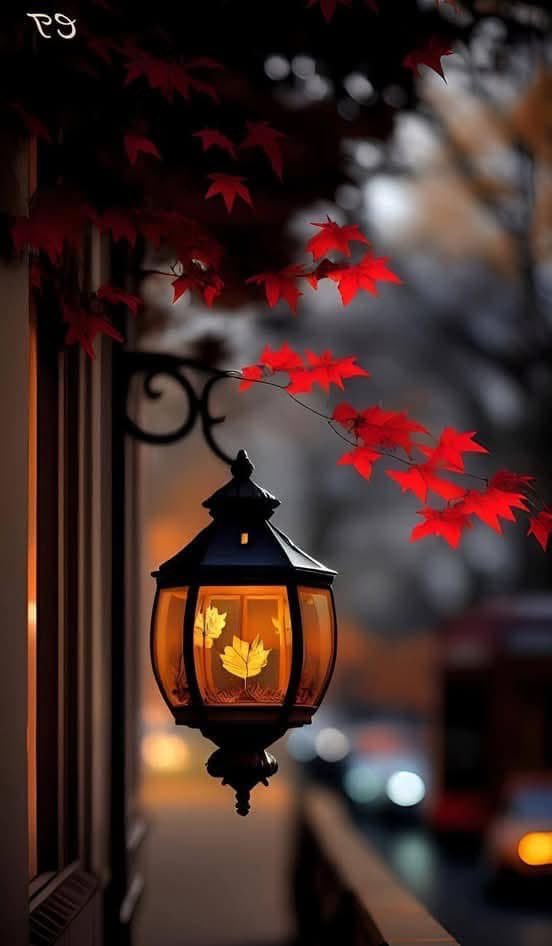 𝕊𝕙𝕒𝕙𝕫𝕒𝕕 𝕄𝕦𝕟𝕚𝕣 (@shz447) on Twitter photo amazing weekend 🥂
🌟 <a href="/MarcelaErcia/">🕉MARCE🐉⚖ #MarceTeAyuda🔮#MarceLive🔄 Meme y Popi</a>
🌟<a href="/AntoniusCDN/">🐨 𝕮𝖗𝖎𝖘𝖙𝖆𝖓𝖙𝖔 𝕯 𝕹 🐨</a>
🌟<a href="/sami86pilang/">🇮🇩🐯𝐋𝐞𝐚𝐝𝐞𝐫'𝐬🐯🇮🇩</a>
🌟<a href="/albert_morafia/">ABM</a>
<a href="/AlfonsoAbantoD1/">Enrique Abanto Diaz</a>
<a href="/shZ447/">𝕊𝕙𝕒𝕙𝕫𝕒𝕕 𝕄𝕦𝕟𝕚𝕣</a>
<a href="/ArteNoas/">Arte Noas</a>
<a href="/Imagine269/">༺❀ ᑕᖇISTIᑎᗩ ❀༻#MᥲɾᥴᥱTᥱAყᥙᑯᥲ🔮</a>
<a href="/Sc2017W/">SC2017</a>
<a href="/AlokSingh_mp9/">Alok Singh Rajput 🦜💞</a>
<a href="/tholson90/">Dead End King</a>
<a href="/TheFloridaMike/">Florida Mike: Vance2028!</a>
<a href="/Zar_43/">ZARRAR ضرار #ΛᒪBΛЯQ⚡@𝙕𝙖𝙧_𝟰𝟯</a> <a href="/etc804/">ƒα૨ɱαɳ αℓαɱ</a>
<a href="/Submarineering/">Submarineering</a>
<a href="/grindelKadse/">🇩🇪💙grindelKadse❤️🇺🇸</a>
<a href="/3_toshiyuki/">toshiyuki (I like new things.)</a>
#TmGriffins <a href="/Aa_ban1/">▄︻ #TmGriffins🦅︻▄</a>
#MarceTeAyuda amazing weekend 🥂
🌟 <a href="/MarcelaErcia/">🕉MARCE🐉⚖ #MarceTeAyuda🔮#MarceLive🔄 Meme y Popi</a>
🌟<a href="/AntoniusCDN/">🐨 𝕮𝖗𝖎𝖘𝖙𝖆𝖓𝖙𝖔 𝕯 𝕹 🐨</a>
🌟<a href="/sami86pilang/">🇮🇩🐯𝐋𝐞𝐚𝐝𝐞𝐫'𝐬🐯🇮🇩</a>
🌟<a href="/albert_morafia/">ABM</a>
<a href="/AlfonsoAbantoD1/">Enrique Abanto Diaz</a>
<a href="/shZ447/">𝕊𝕙𝕒𝕙𝕫𝕒𝕕 𝕄𝕦𝕟𝕚𝕣</a>
<a href="/ArteNoas/">Arte Noas</a>
<a href="/Imagine269/">༺❀ ᑕᖇISTIᑎᗩ ❀༻#MᥲɾᥴᥱTᥱAყᥙᑯᥲ🔮</a>
<a href="/Sc2017W/">SC2017</a>
<a href="/AlokSingh_mp9/">Alok Singh Rajput 🦜💞</a>
<a href="/tholson90/">Dead End King</a>
<a href="/TheFloridaMike/">Florida Mike: Vance2028!</a>
<a href="/Zar_43/">ZARRAR ضرار #ΛᒪBΛЯQ⚡@𝙕𝙖𝙧_𝟰𝟯</a> <a href="/etc804/">ƒα૨ɱαɳ αℓαɱ</a>
<a href="/Submarineering/">Submarineering</a>
<a href="/grindelKadse/">🇩🇪💙grindelKadse❤️🇺🇸</a>
<a href="/3_toshiyuki/">toshiyuki (I like new things.)</a>
#TmGriffins <a href="/Aa_ban1/">▄︻ #TmGriffins🦅︻▄</a>
#MarceTeAyuda