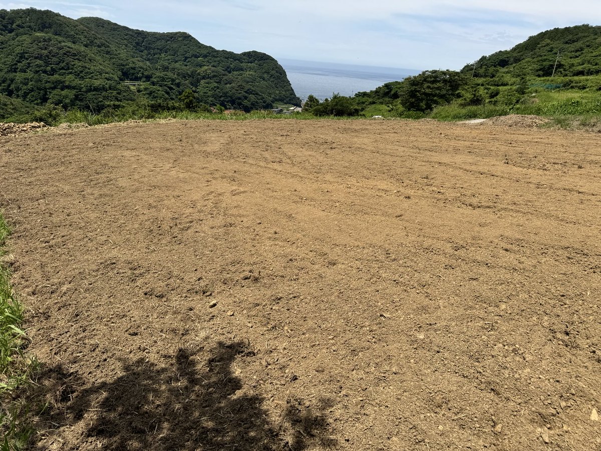 torayamaneko's tweet image. すぐにクラウドファンディングはじめたいところですが、10月の動物園イベントに合わせるため、9月開始を予定しています。
特にリターン不要で今すぐご寄付いただける方は下記のサイトから寄付を受け付けています(クレジットカード決済)。
syncable.biz/associate/tora…
#ツシマヤマネコ