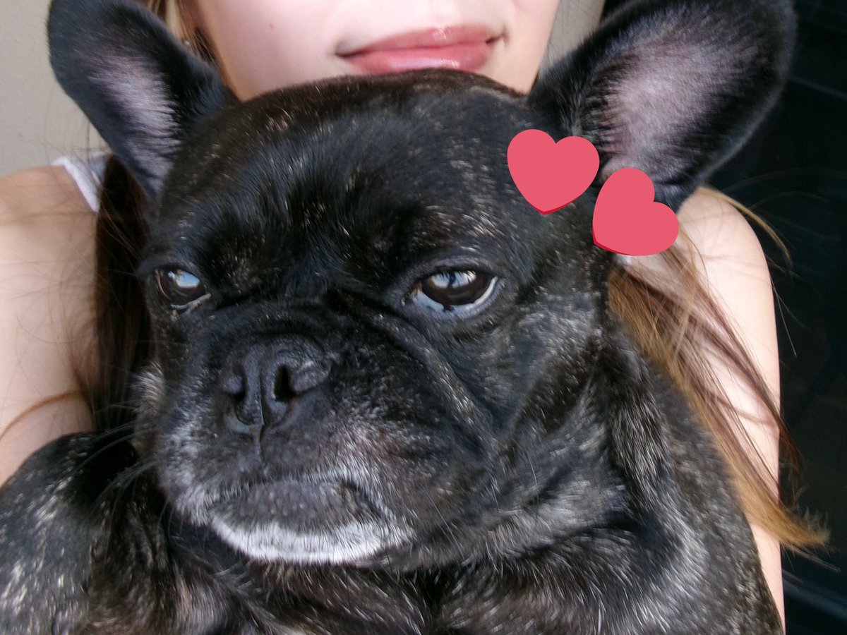 月と太陽 DREAM VILLA🌙
小型犬も泊まれる最高なコテージ🐶
サウナは105℃🧖🏻‍♀️アロマは贅沢3種類🌿
水風呂と休憩スペースは外にあって
屋上でもゆったり外気浴💭
外でBBQもできるし室内には温泉もあるし
充実した1泊2日でした〜😌🩷