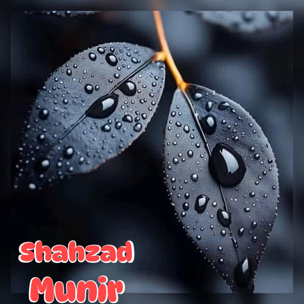 𝕊𝕙𝕒𝕙𝕫𝕒𝕕 𝕄𝕦𝕟𝕚𝕣 (@shz447) on Twitter photo 🌸#MarceTeAyuda
#EliFriends👠
<a href="/dreams_Bcn/">૮૨iઽƬiทα #MᥲɾᥴᥱTᥱAყᥙᑯᥲ🔮</a>
<a href="/MarcelaErcia/">🕉MARCE🐉⚖ #MarceTeAyuda🔮#MarceLive🔄 Meme y Popi</a>
<a href="/ranasilvia63/">Luna OM</a>
<a href="/shZ447/">𝕊𝕙𝕒𝕙𝕫𝕒𝕕 𝕄𝕦𝕟𝕚𝕣</a>
<a href="/Aa_ban1/">▄︻ #TmGriffins🦅︻▄</a>
<a href="/nbea_h/">#𝕾𝖚𝖕𝖊𝖗𝕱𝖗𝖎𝖊𝖓𝖉𝖘 #𝕿𝖔𝖕𝕱𝖗𝖎𝖊𝖓𝖉𝖘</a>
<a href="/Da__Eliz/">Eli👸</a>
<a href="/Mrk4786/"> 𝐌𝐨𝐧𝐮(◕‿-)✌</a>
<a href="/nnunezortiz/">🇲🇽 Nancy Núñez Ortiz</a>
<a href="/S2_CarlaS2/">꧁༺Carla༻꧂#EliFriends━★✼☆</a>
<a href="/Luna_Om90/">Luna</a>
<a href="/Arkana_Buana/">🅰️rkana_🅱️uana #MarceTeAyuda🔮</a>
<a href="/drikinhapower/">Fodyanne</a>
<a href="/germn_jj2/">༺ℊℯ𝓇𝓂𝓃 𝒿𝒽ℴ𝓃𝓈²²</a>
<a href="/exist0303/">孤高の堕天使</a>
<a href="/kamil_gk/">kamil ali gök</a>
<a href="/glmsjd/">𝑺𝒂𝒋𝒋𝒂𝒅 ✨</a>
<a href="/NawarAllawi/">#NawarAllawi 🌿🕊❤🦂_نوار</a>
<a href="/RobertPage68/">#EliFriends 👉Robert👈</a>
<a href="/luis_montesinos/">Luis Miguel 🇪🇸💚 🇪🇦</a>
<a href="/AlfonsoAbantoD1/">Enrique Abanto Diaz</a> 🌸#MarceTeAyuda
#EliFriends👠
<a href="/dreams_Bcn/">૮૨iઽƬiทα #MᥲɾᥴᥱTᥱAყᥙᑯᥲ🔮</a>
<a href="/MarcelaErcia/">🕉MARCE🐉⚖ #MarceTeAyuda🔮#MarceLive🔄 Meme y Popi</a>
<a href="/ranasilvia63/">Luna OM</a>
<a href="/shZ447/">𝕊𝕙𝕒𝕙𝕫𝕒𝕕 𝕄𝕦𝕟𝕚𝕣</a>
<a href="/Aa_ban1/">▄︻ #TmGriffins🦅︻▄</a>
<a href="/nbea_h/">#𝕾𝖚𝖕𝖊𝖗𝕱𝖗𝖎𝖊𝖓𝖉𝖘 #𝕿𝖔𝖕𝕱𝖗𝖎𝖊𝖓𝖉𝖘</a>
<a href="/Da__Eliz/">Eli👸</a>
<a href="/Mrk4786/"> 𝐌𝐨𝐧𝐮(◕‿-)✌</a>
<a href="/nnunezortiz/">🇲🇽 Nancy Núñez Ortiz</a>
<a href="/S2_CarlaS2/">꧁༺Carla༻꧂#EliFriends━★✼☆</a>
<a href="/Luna_Om90/">Luna</a>
<a href="/Arkana_Buana/">🅰️rkana_🅱️uana #MarceTeAyuda🔮</a>
<a href="/drikinhapower/">Fodyanne</a>
<a href="/germn_jj2/">༺ℊℯ𝓇𝓂𝓃 𝒿𝒽ℴ𝓃𝓈²²</a>
<a href="/exist0303/">孤高の堕天使</a>
<a href="/kamil_gk/">kamil ali gök</a>
<a href="/glmsjd/">𝑺𝒂𝒋𝒋𝒂𝒅 ✨</a>
<a href="/NawarAllawi/">#NawarAllawi 🌿🕊❤🦂_نوار</a>
<a href="/RobertPage68/">#EliFriends 👉Robert👈</a>
<a href="/luis_montesinos/">Luis Miguel 🇪🇸💚 🇪🇦</a>
<a href="/AlfonsoAbantoD1/">Enrique Abanto Diaz</a>