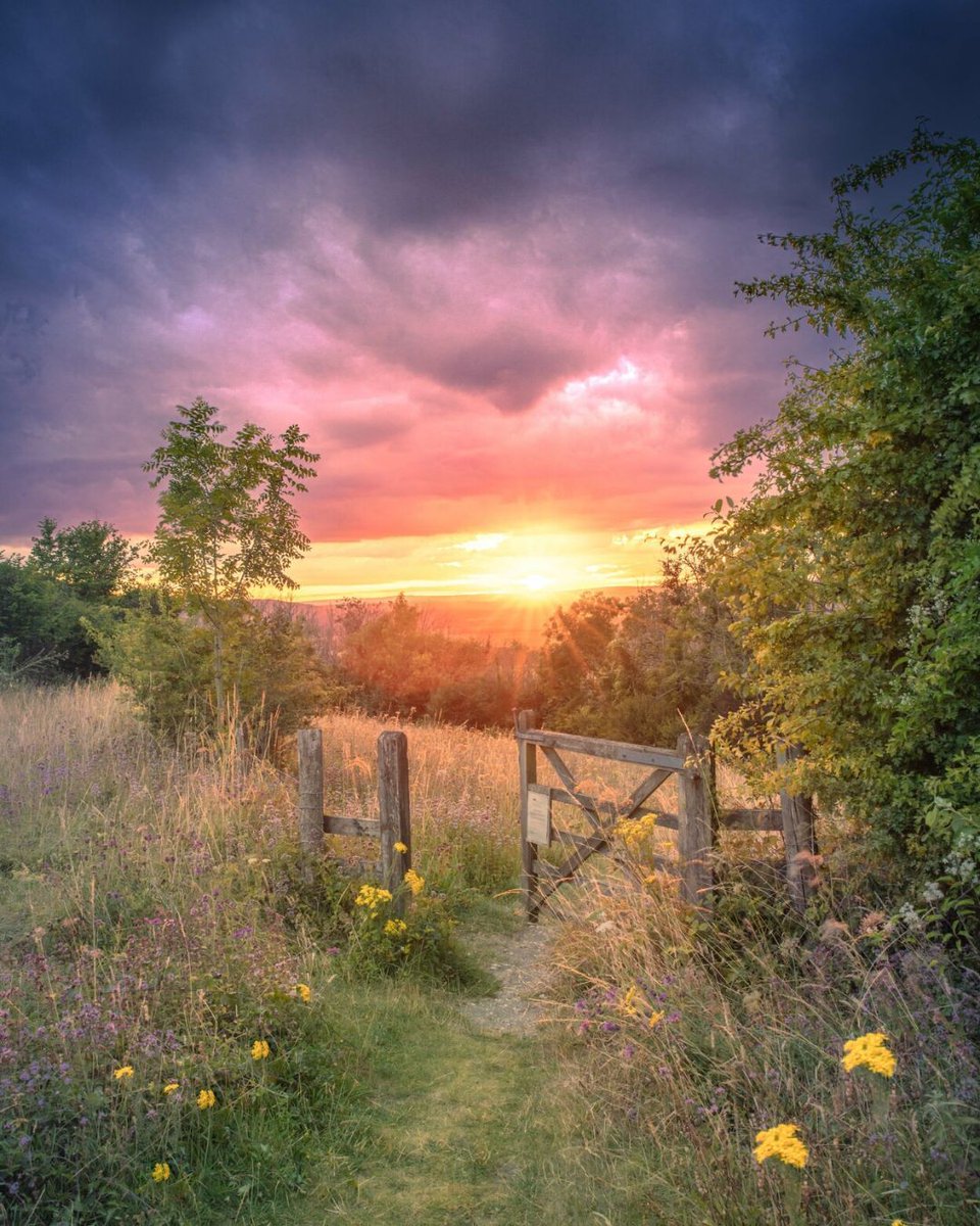 'Magic Gate' at Kithurst Hill.

📷 Katarzyna Kedziora 

#SouthSowns #Summer