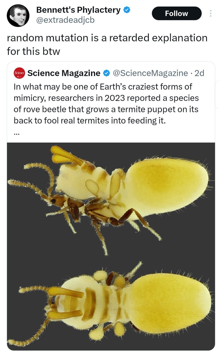 0x9212ce55's tweet image. Some people are close to creating a digital super intelligence while other people can't comprehend evolutionary algorithms.
Such distribution of knowledge and reasoning abilities strikes me more than wealth inequality problem tbh.