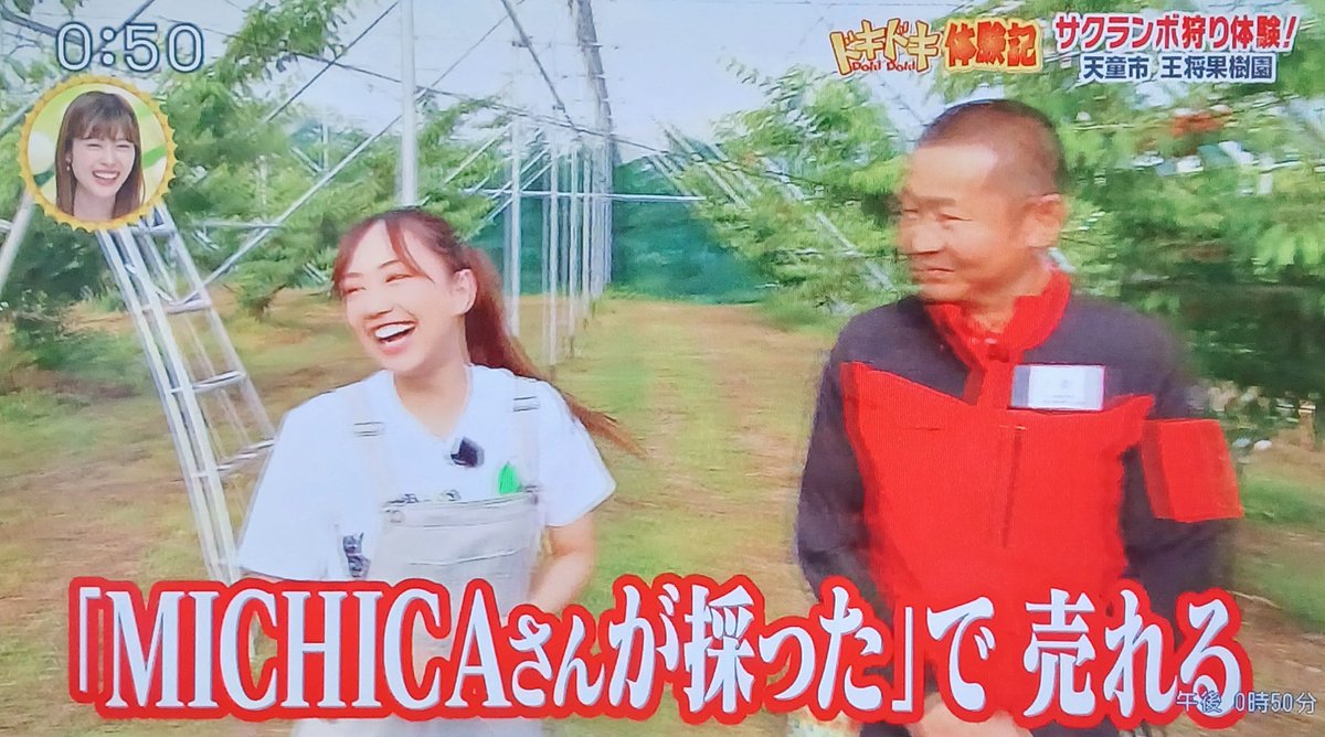 MICHICAちゃんさくらんぼのお手伝い🍒

高所恐怖症だから2人に脚立支えてもらって頑張ってました😂

MICHICAちゃんの採ったさくらんぼ東京で売れたかな？🗼