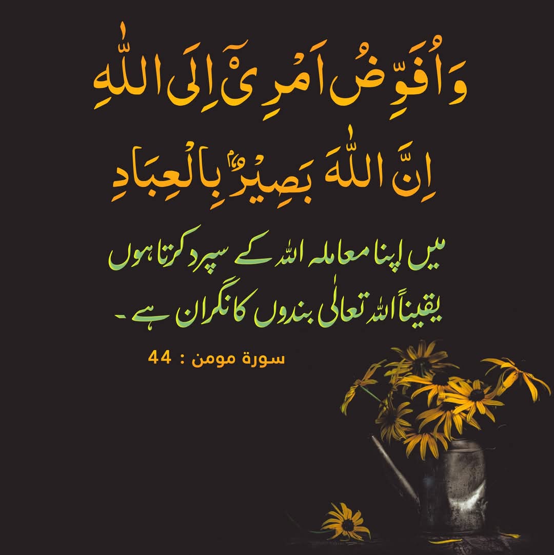 Asmaraii1's tweet image. اَلسَلامُ عَلَيْكُم وَرَحْمَةُ اَللهِ وَبَرَكاتُهُ
صبح بخیر🌞
خوش رہيں خوشياں بانٹيں