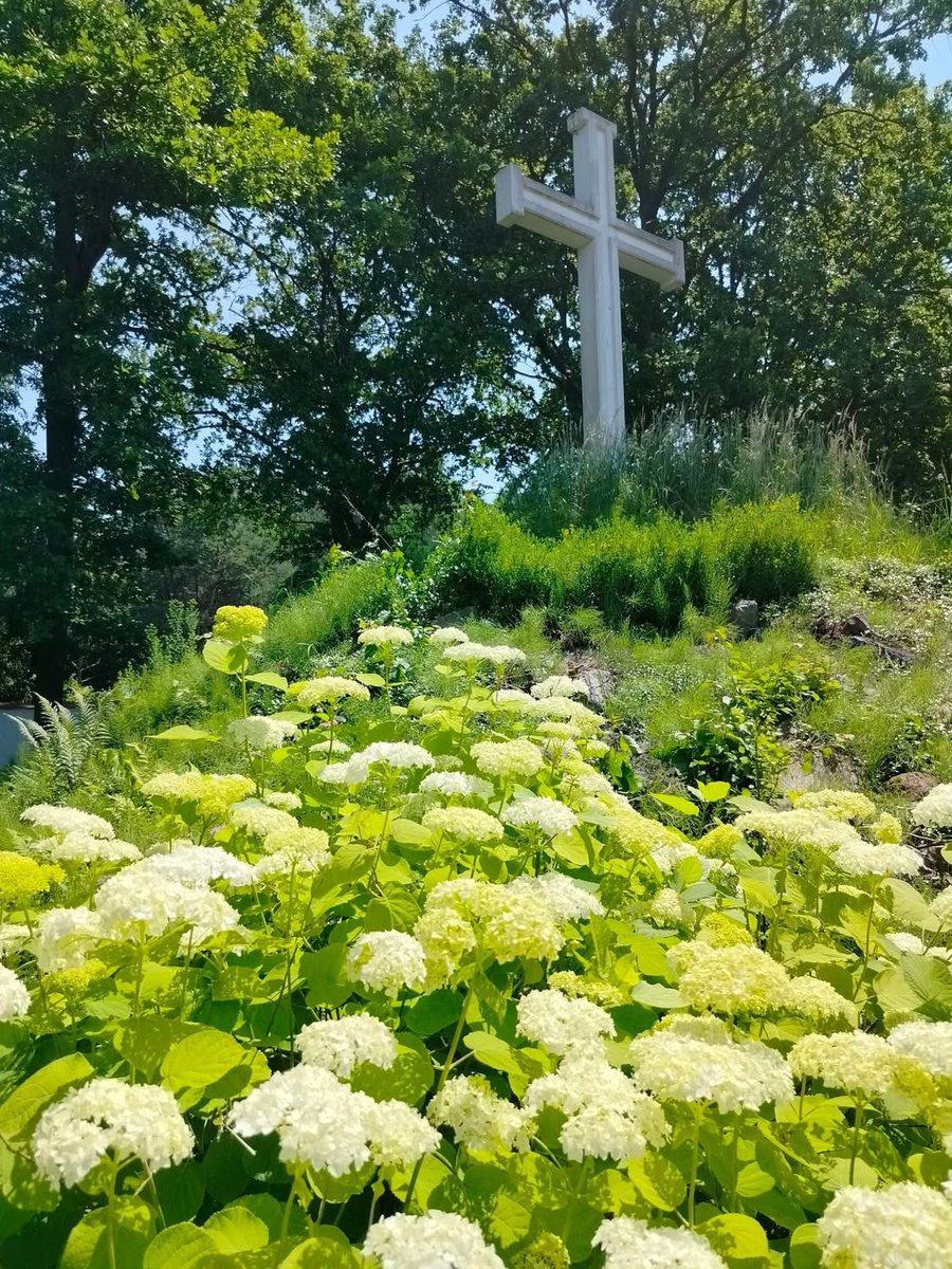xJacekPaluch's tweet photo. “W ogrodzie pod krzyżem czas płynie wolniej. 🌳✝️ Odpoczynek, przyroda śpiew ptaków i widok na klasztor – chwila zadumy w sercu przyrody. #OgródDuszy #Spokój #Przyroda #Klasztor” https://t.co/HQLickjWSb