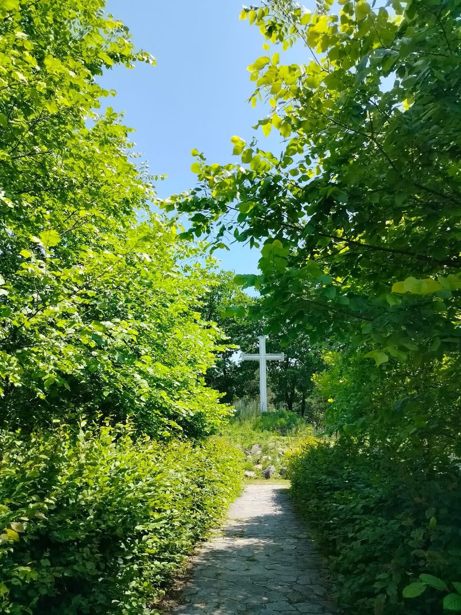 xJacekPaluch's tweet photo. “W ogrodzie pod krzyżem czas płynie wolniej. 🌳✝️ Odpoczynek, przyroda śpiew ptaków i widok na klasztor – chwila zadumy w sercu przyrody. #OgródDuszy #Spokój #Przyroda #Klasztor” https://t.co/HQLickjWSb