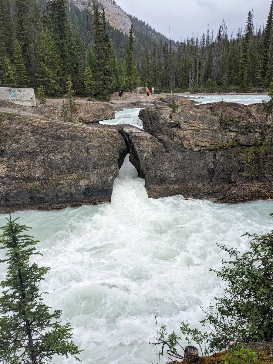 Lakes_Graham's tweet image. So much fast flowing water on this holiday in Canada. 🌊