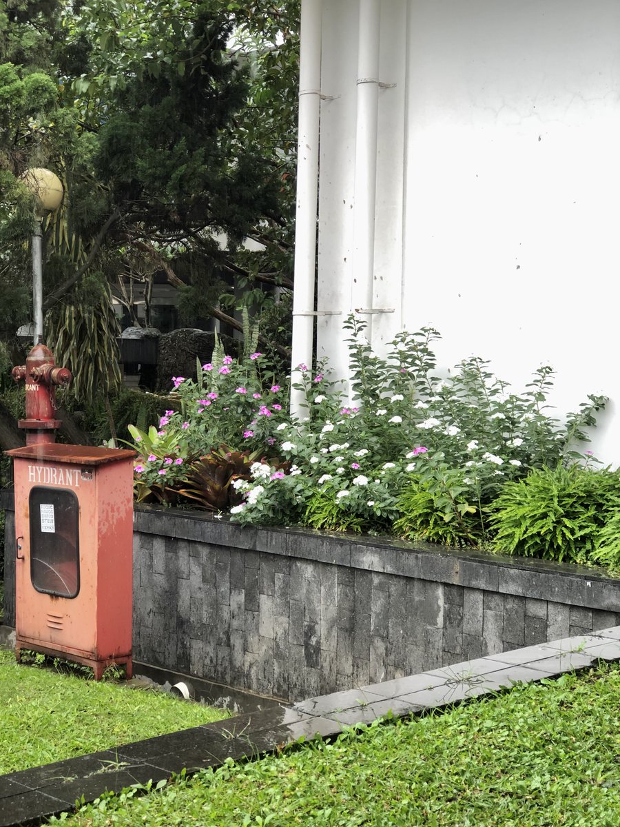 rubythearchangl's tweet image. hari ini ke open house swasta (biar ada kegiatan) 🧘🏽 bonus freebies imut