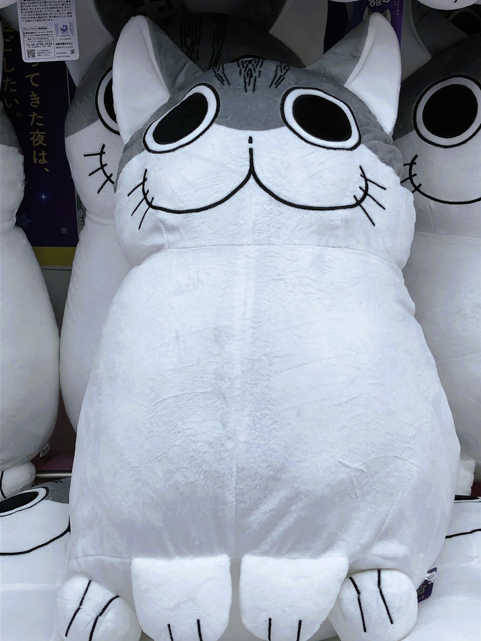 gigo限定　夜は猫といっしょ bigぬいぐるみ GiGOグループのお店 公式 on X: 